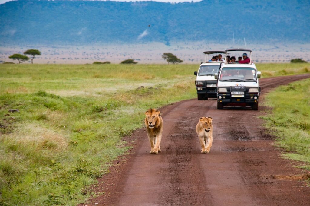 Kenya goes visa-free for travelers – but there’s a catch